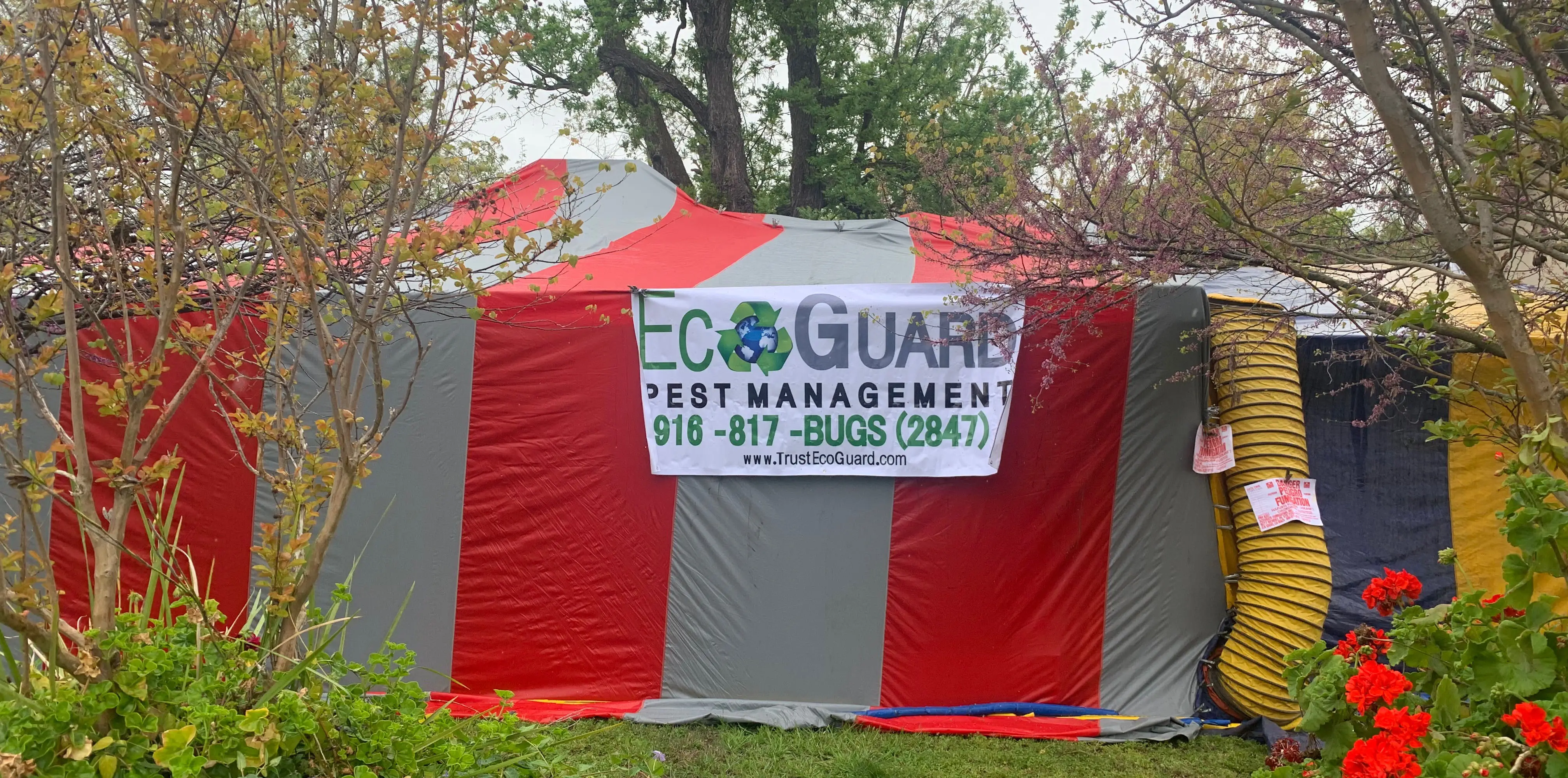 How Much Does It Cost to Fumigate a House? 2025 Price Guide