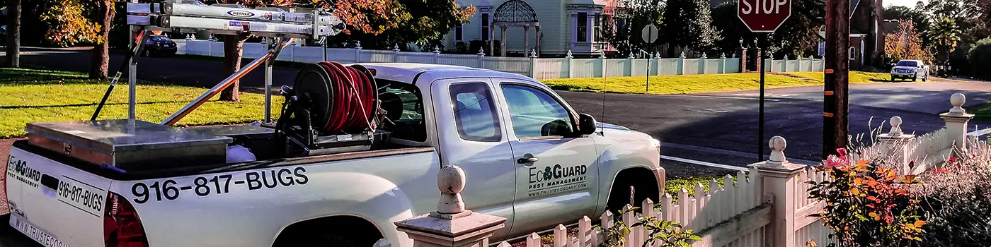 Is a Landlord Responsible for Pest Control? Rights & Duties