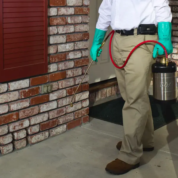 How Long After Pest Control Should I Wait to Go Inside?