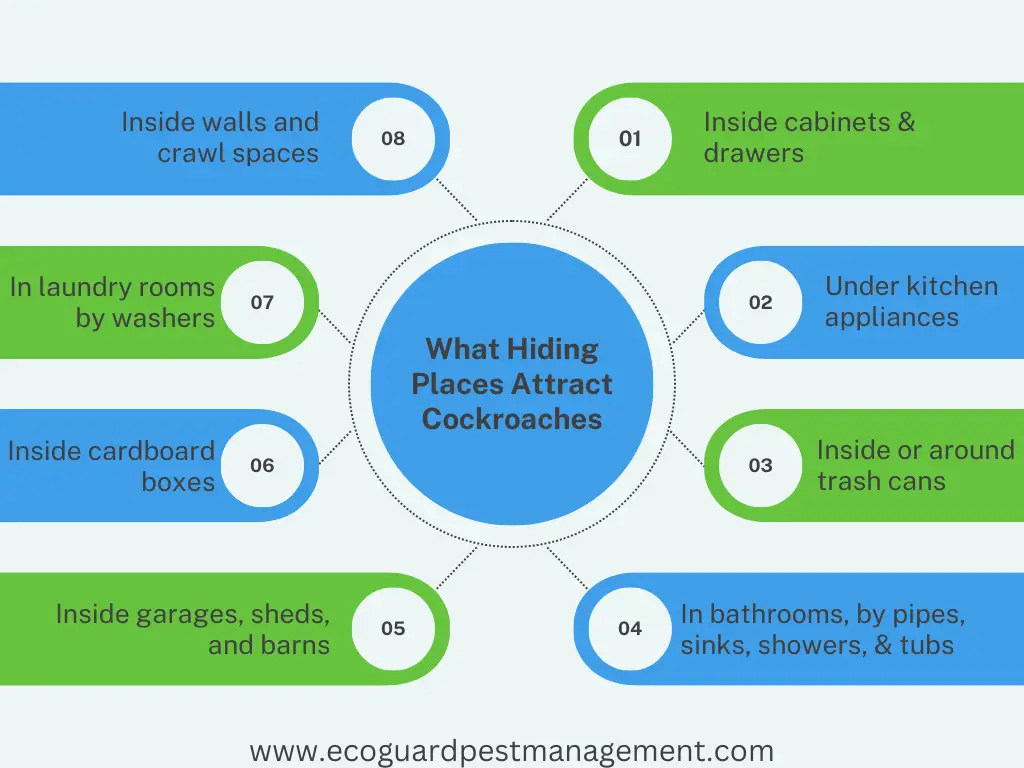 What Attracts Cockroaches Into Your Home? Prevention Tips