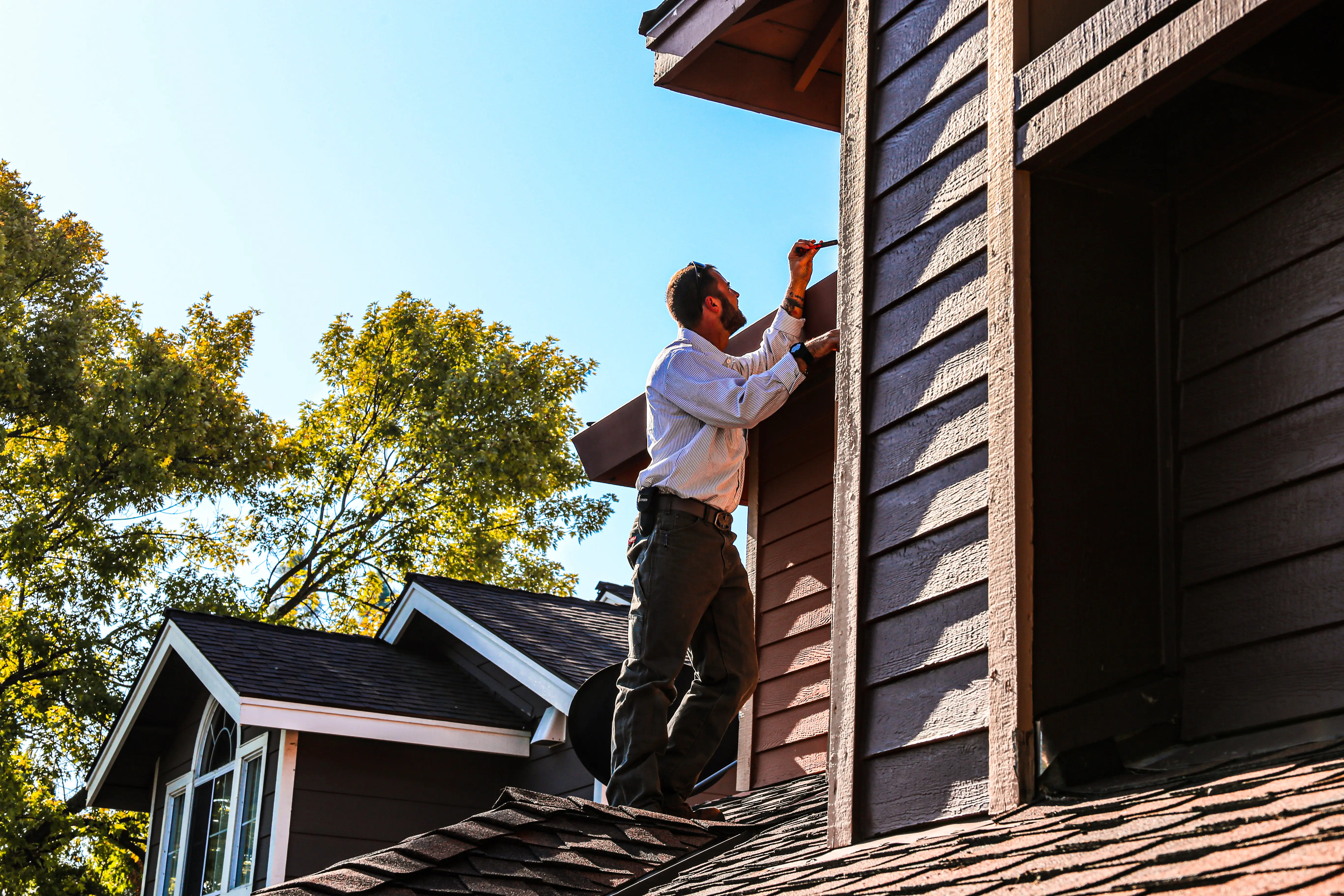 Professional wood boring beetle control technician inspecting wooden structural elements for beetle damage
