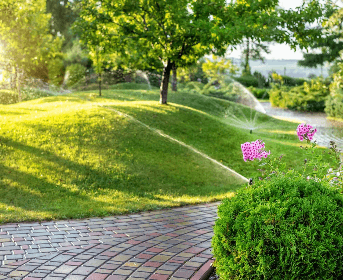 Lawn Care Services