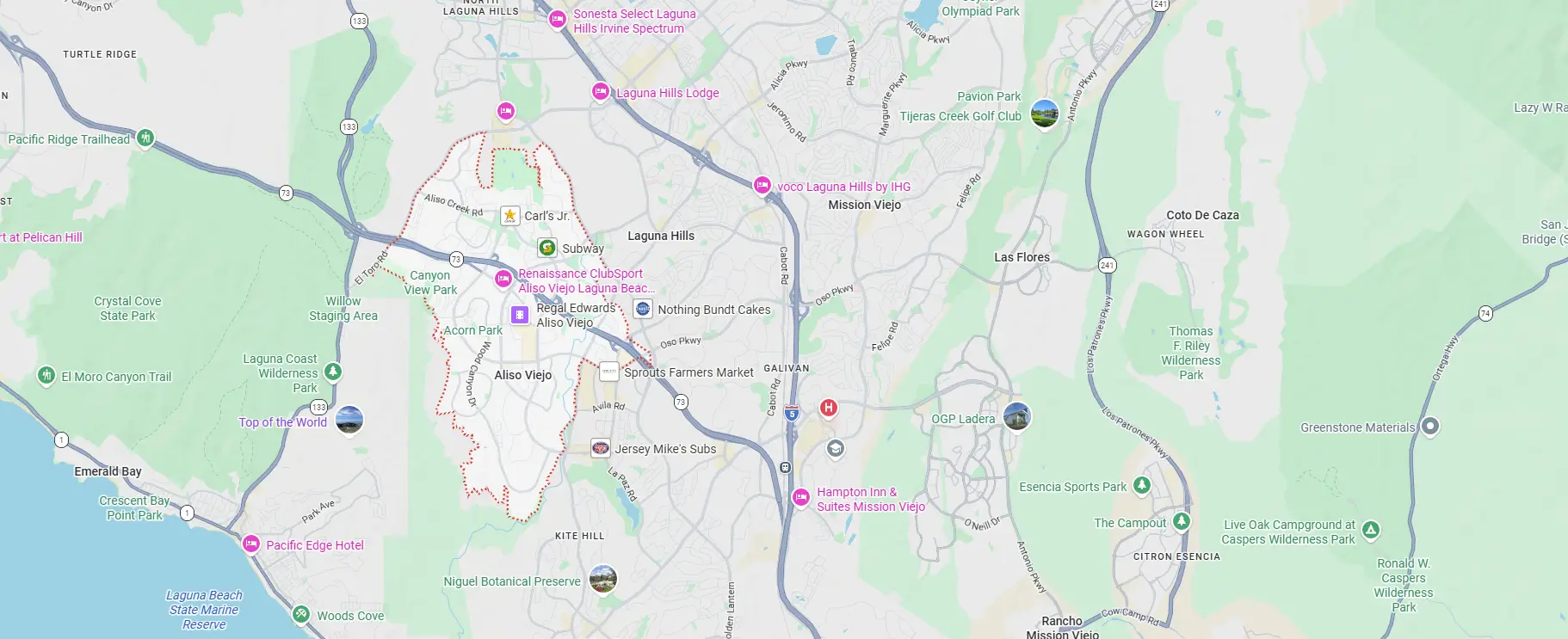 Pest control services in Aliso Viejo, CA