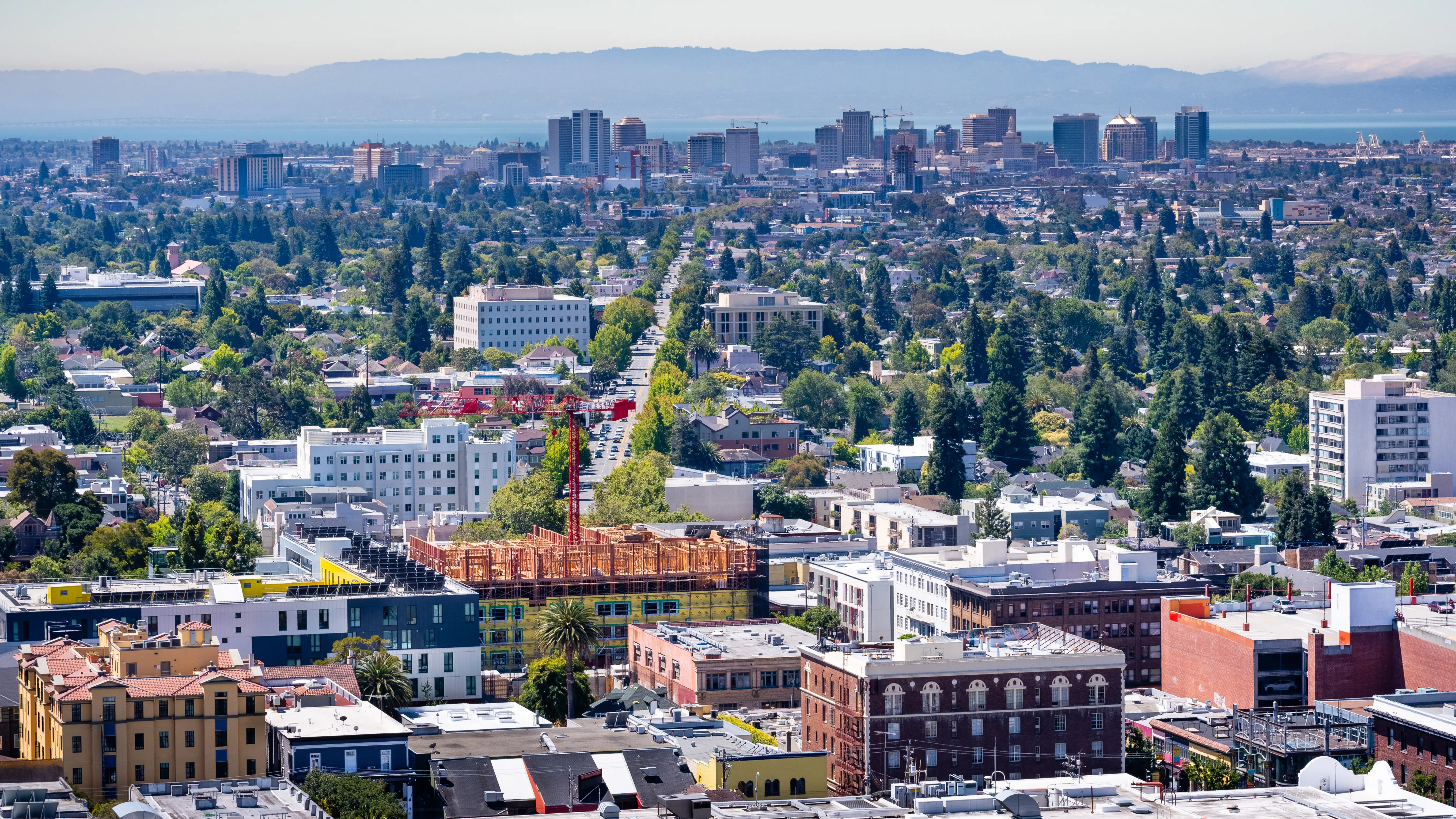 Pest control services in Berkeley, CA