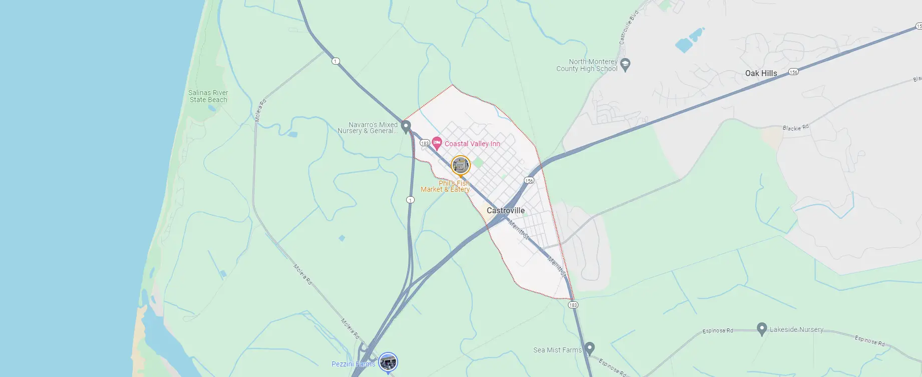 Pest control services in Castroville, CA