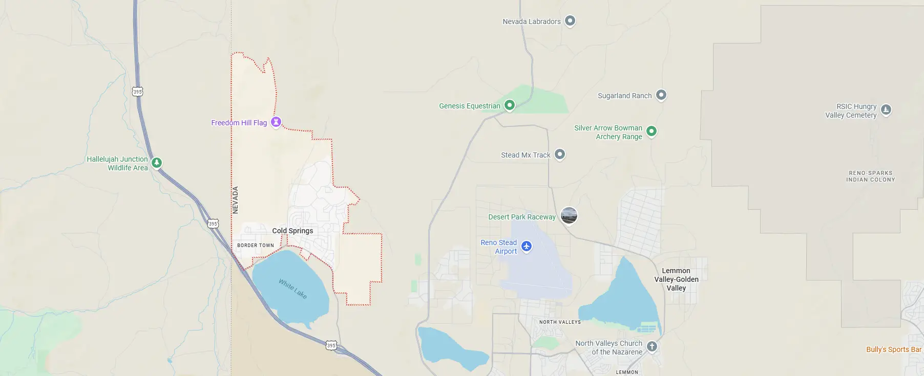 Pest control services in Cold Springs, NV