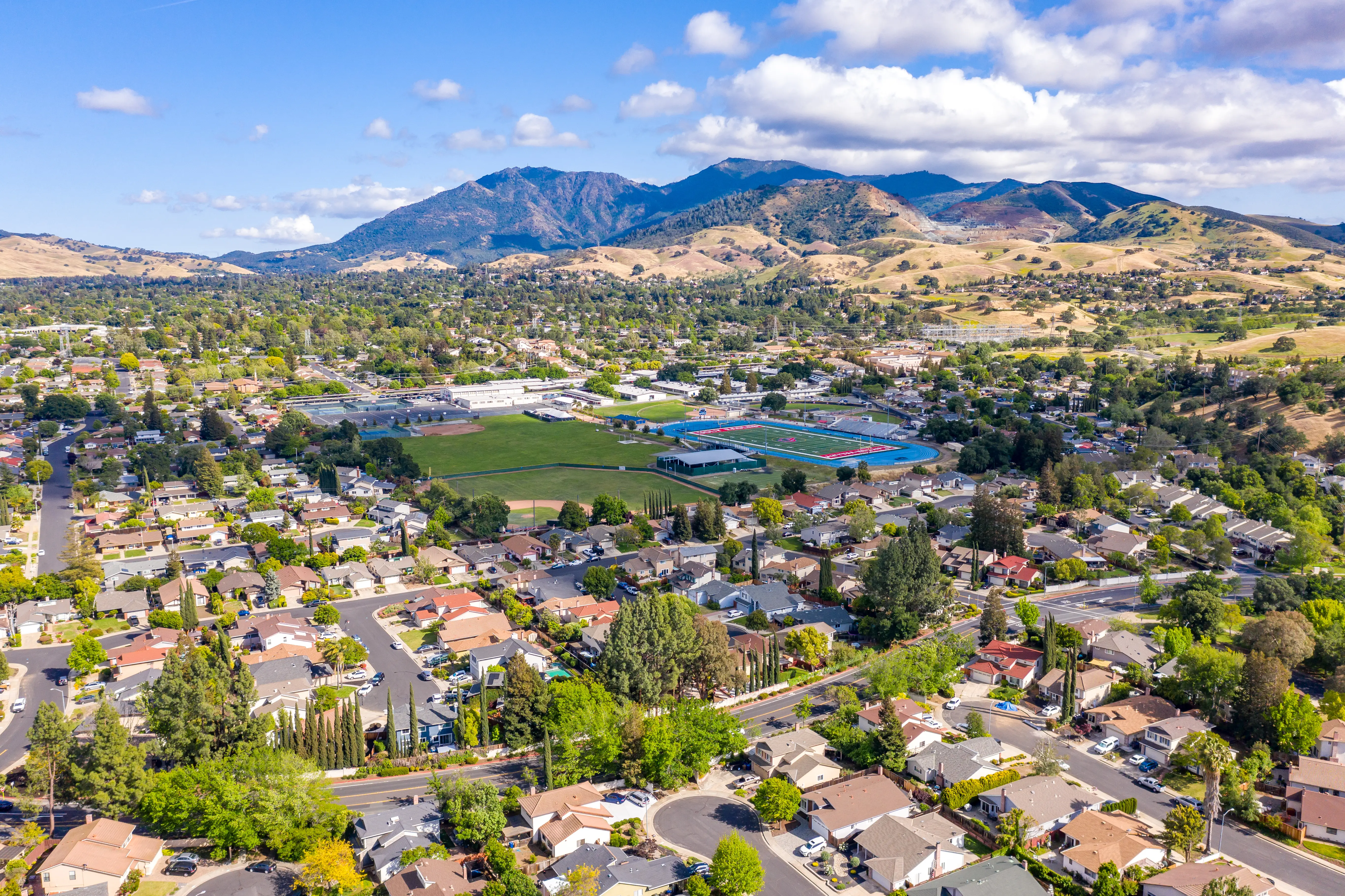 Pest control services in Concord, CA