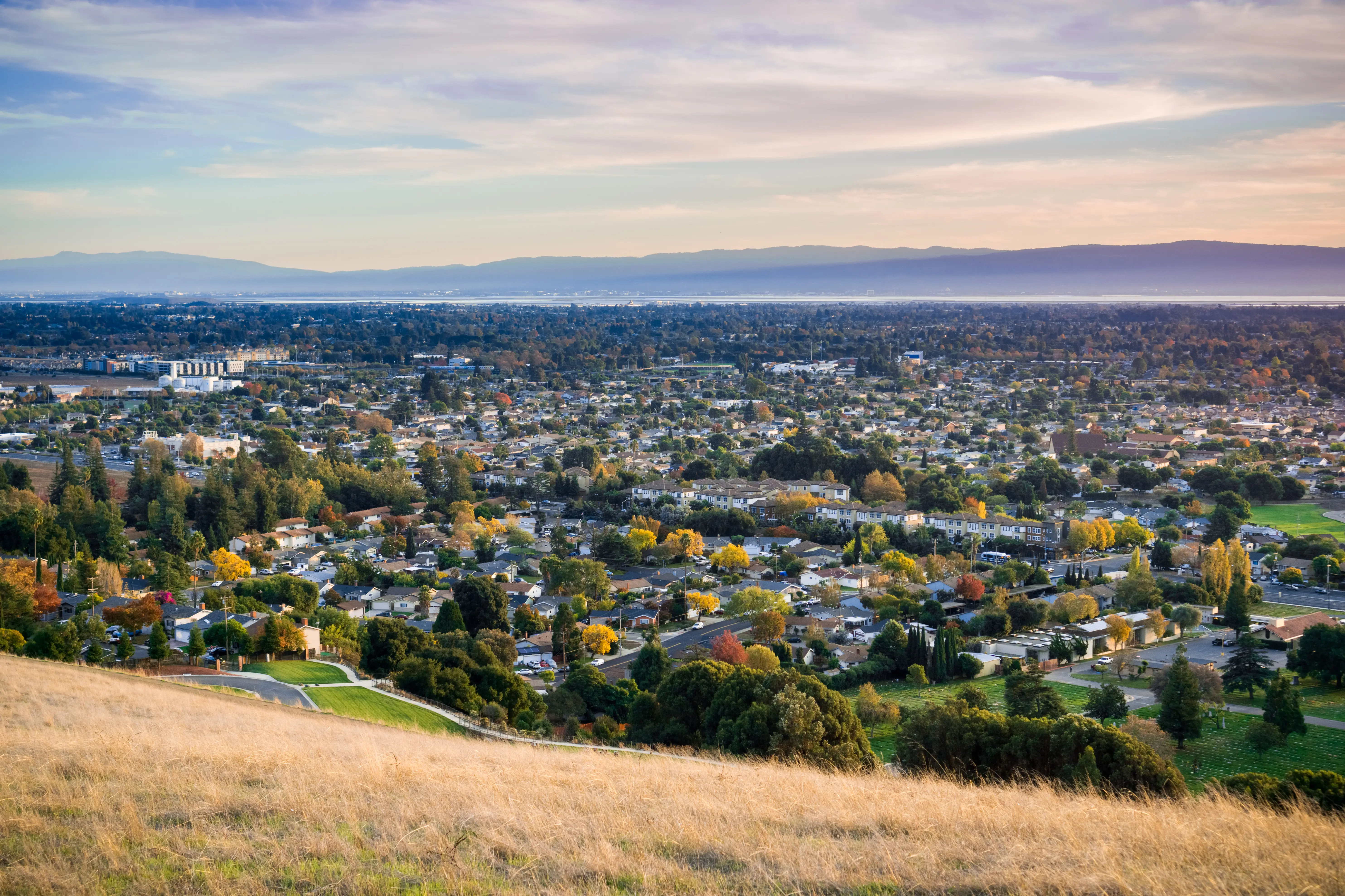 Pest control services in Fremont, CA