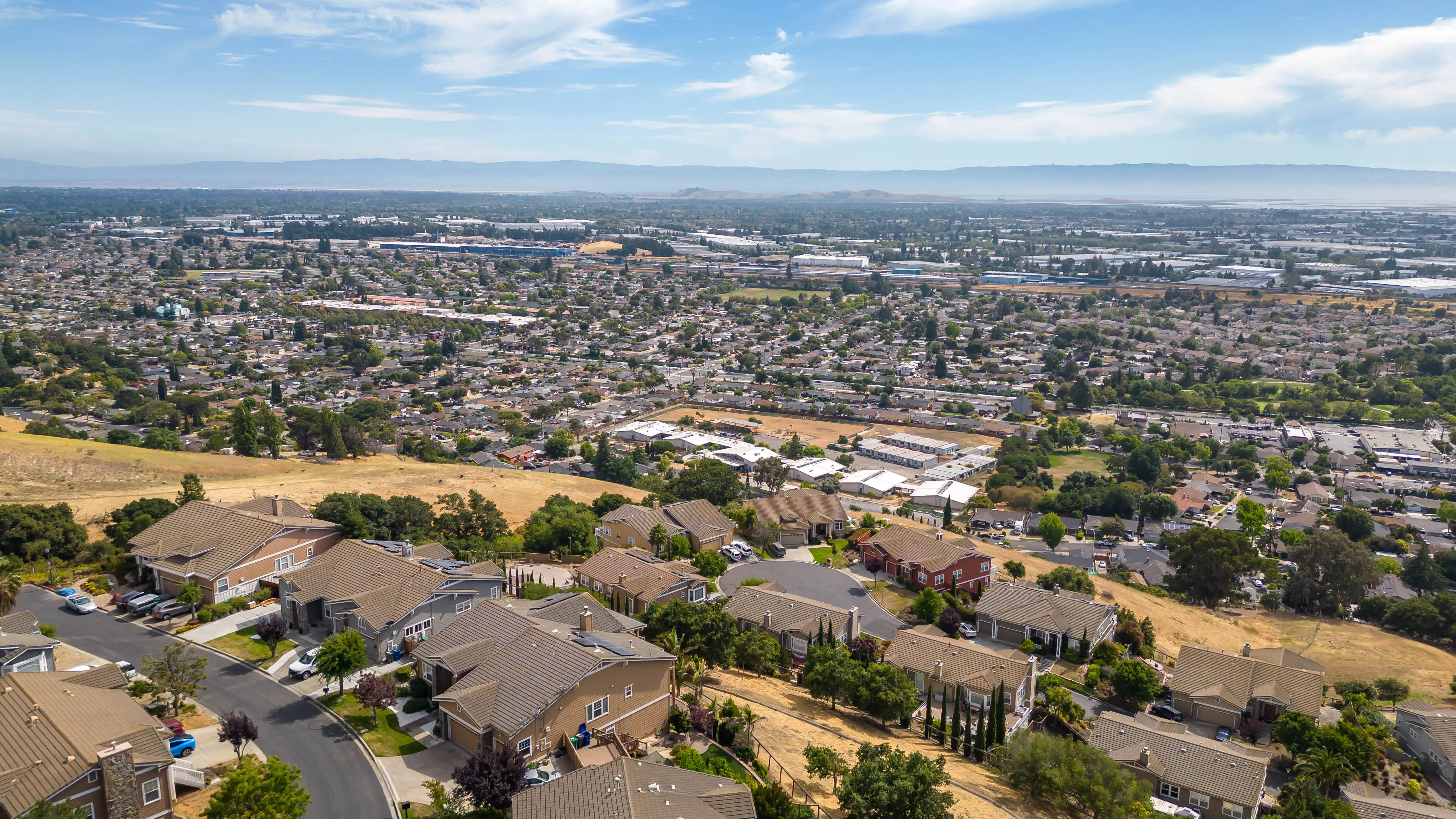 Pest control services in Hayward, CA