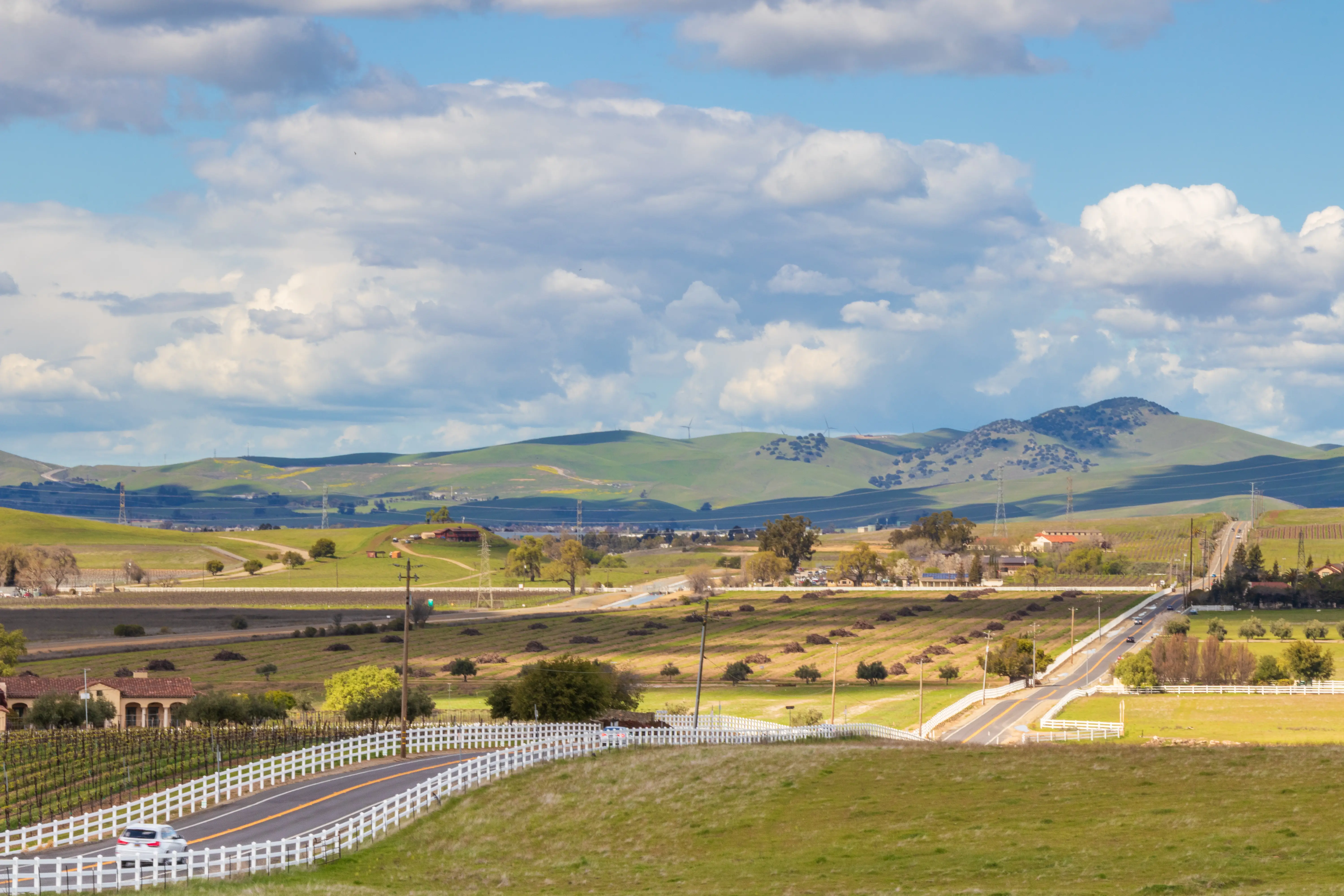 Pest control services in Livermore, CA