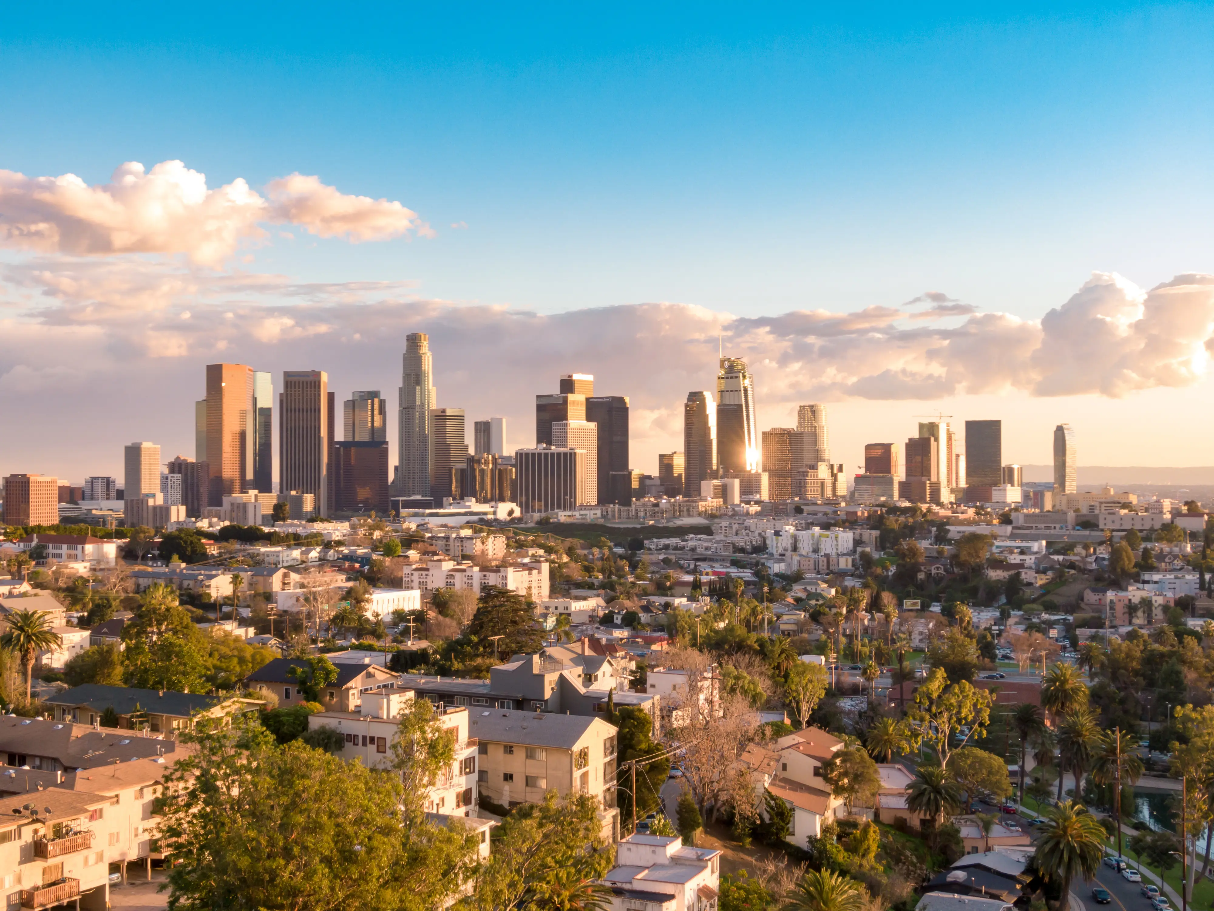 Pest control services in Los Angeles, CA