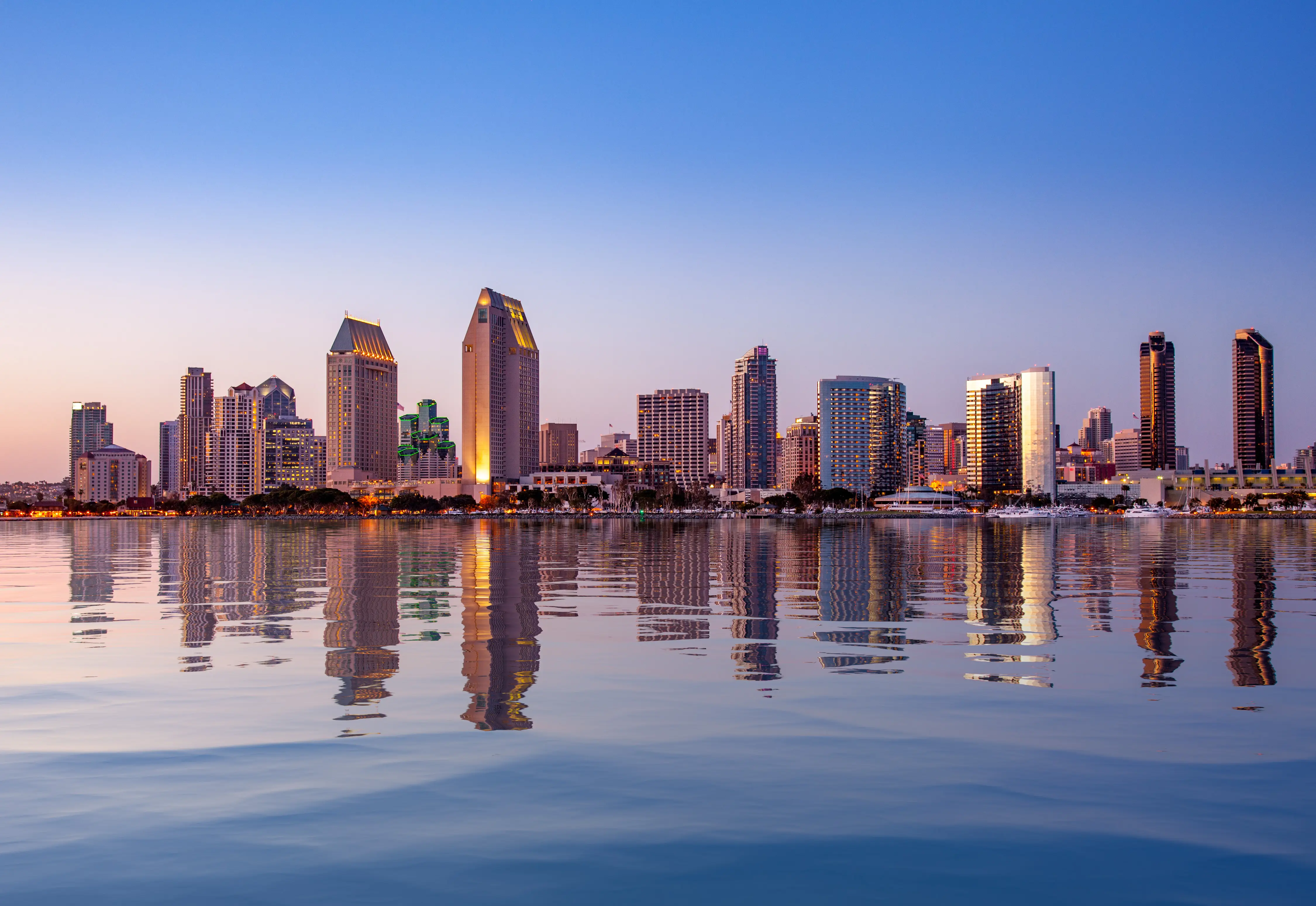 Pest control services in San Diego, CA