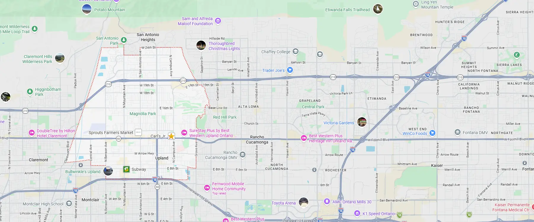 Pest control services in Upland, CA