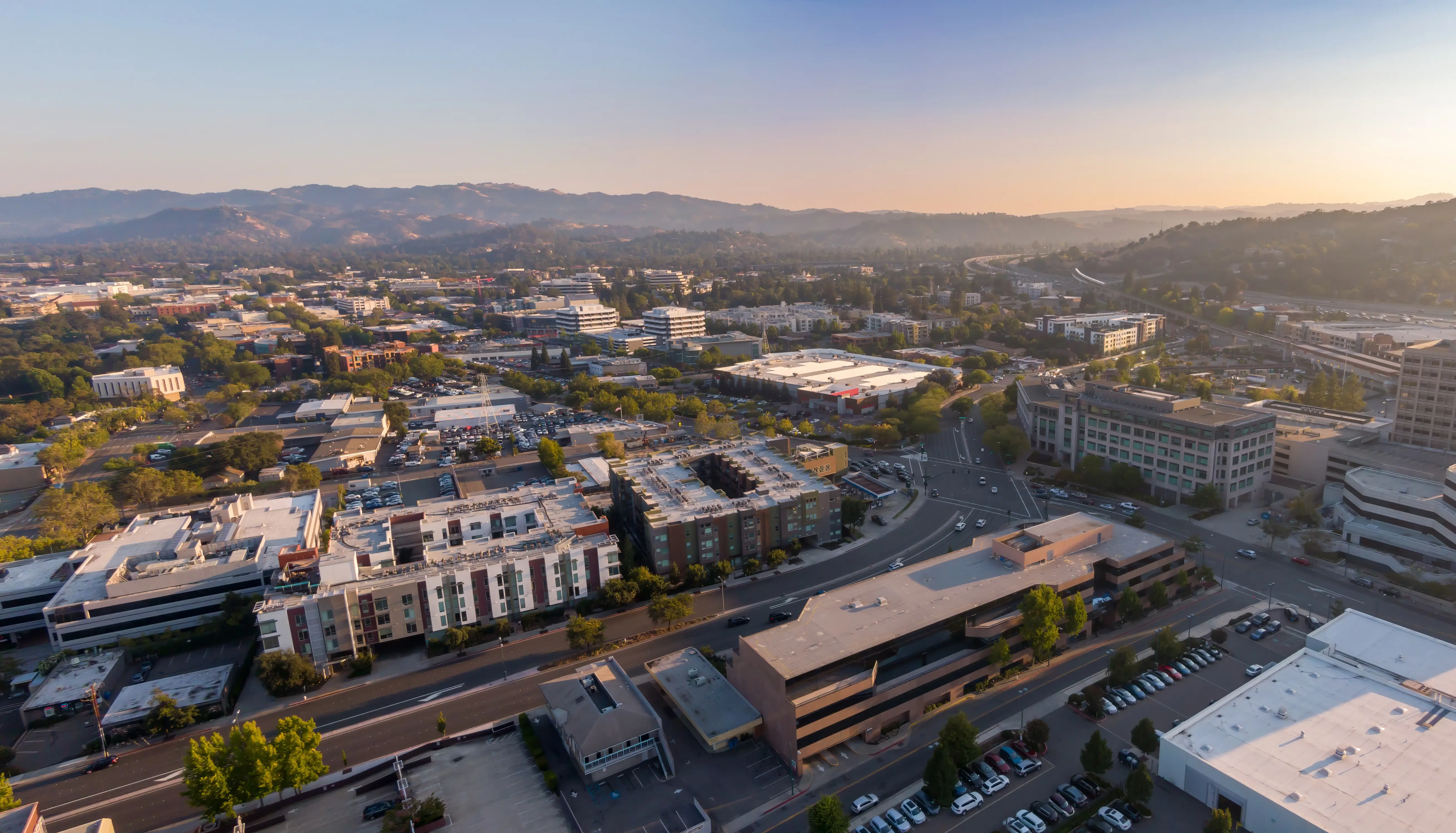 Pest control services in Walnut Creek, CA