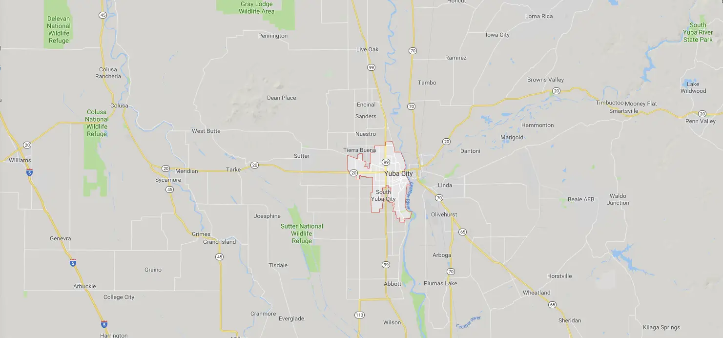 Pest control services in Yuba City, CA