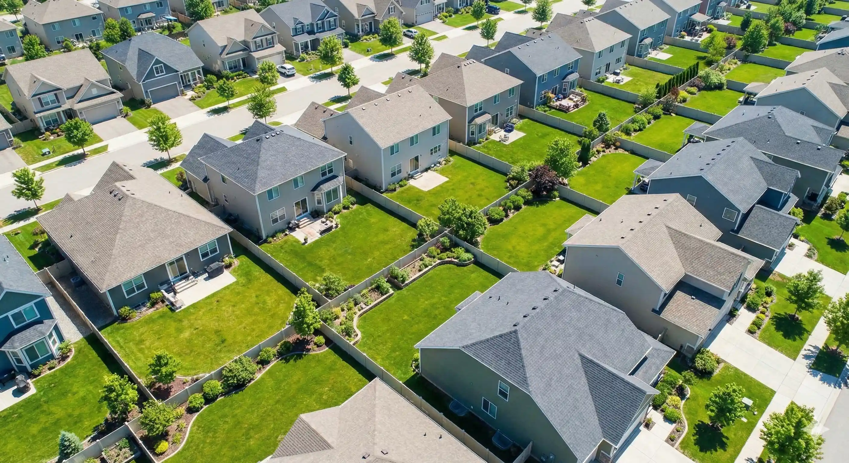 Residential neighborhood with connected Argentine ant super colony