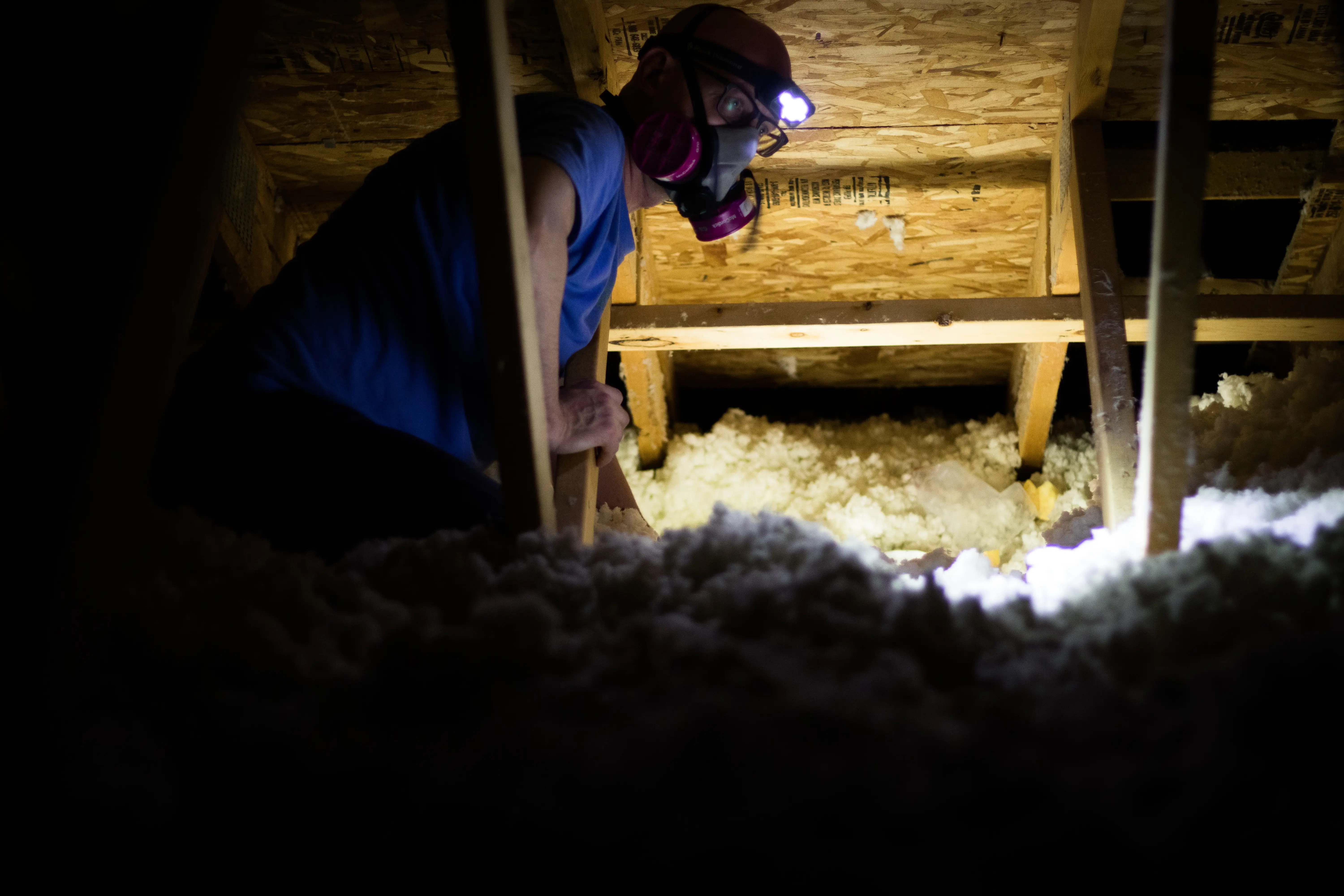 Technician inspecting attic insulation for contamination and damage