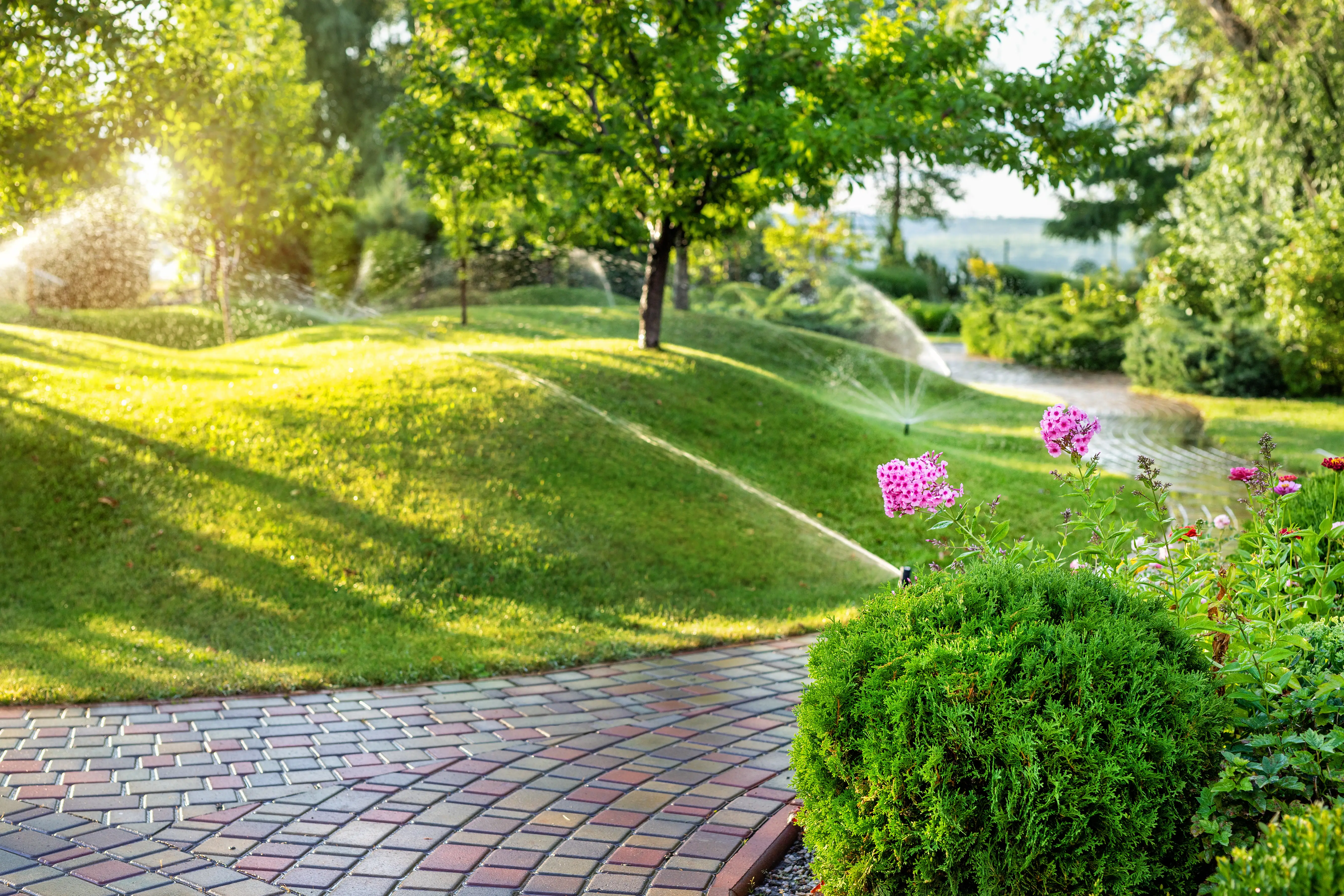 Technician applying weed control treatment to residential lawn
