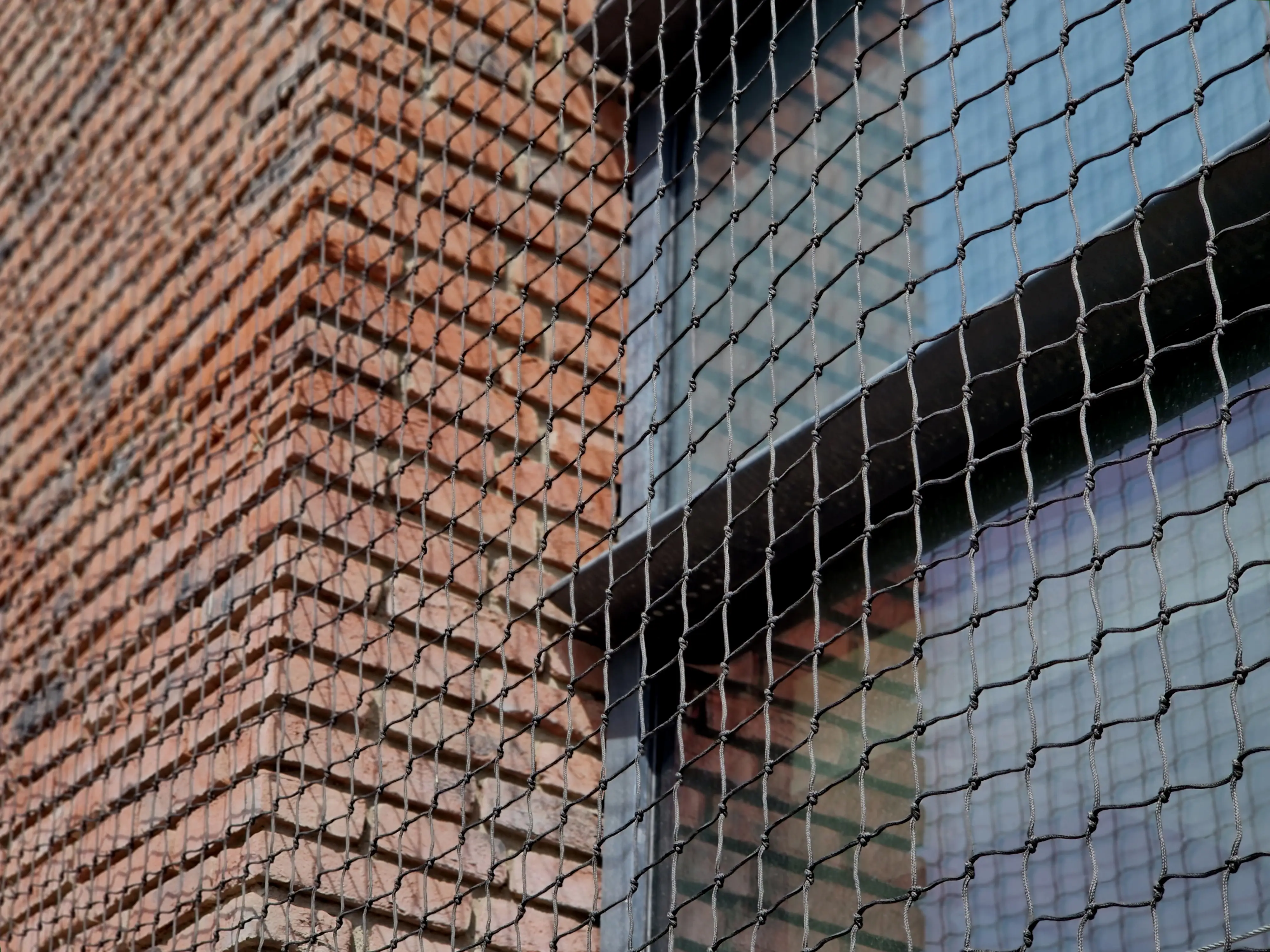 Wire grid system preventing pigeon access to roof