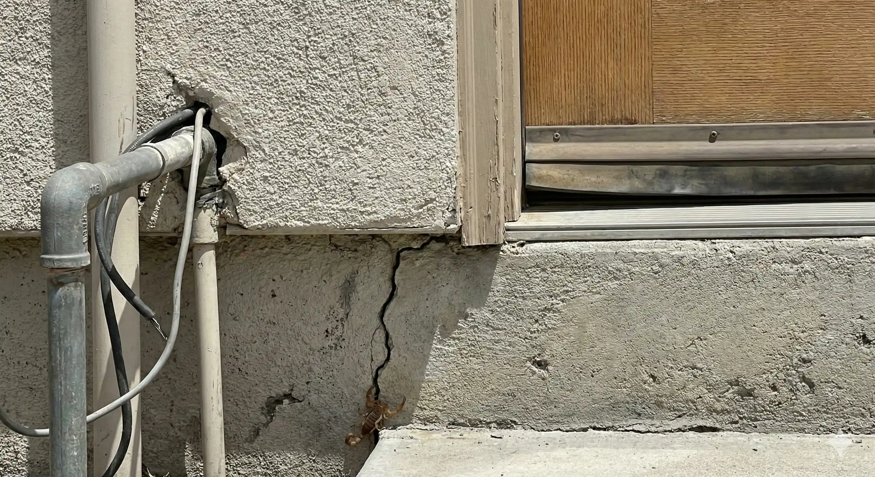 Foundation cracks and gaps allowing scorpion entry