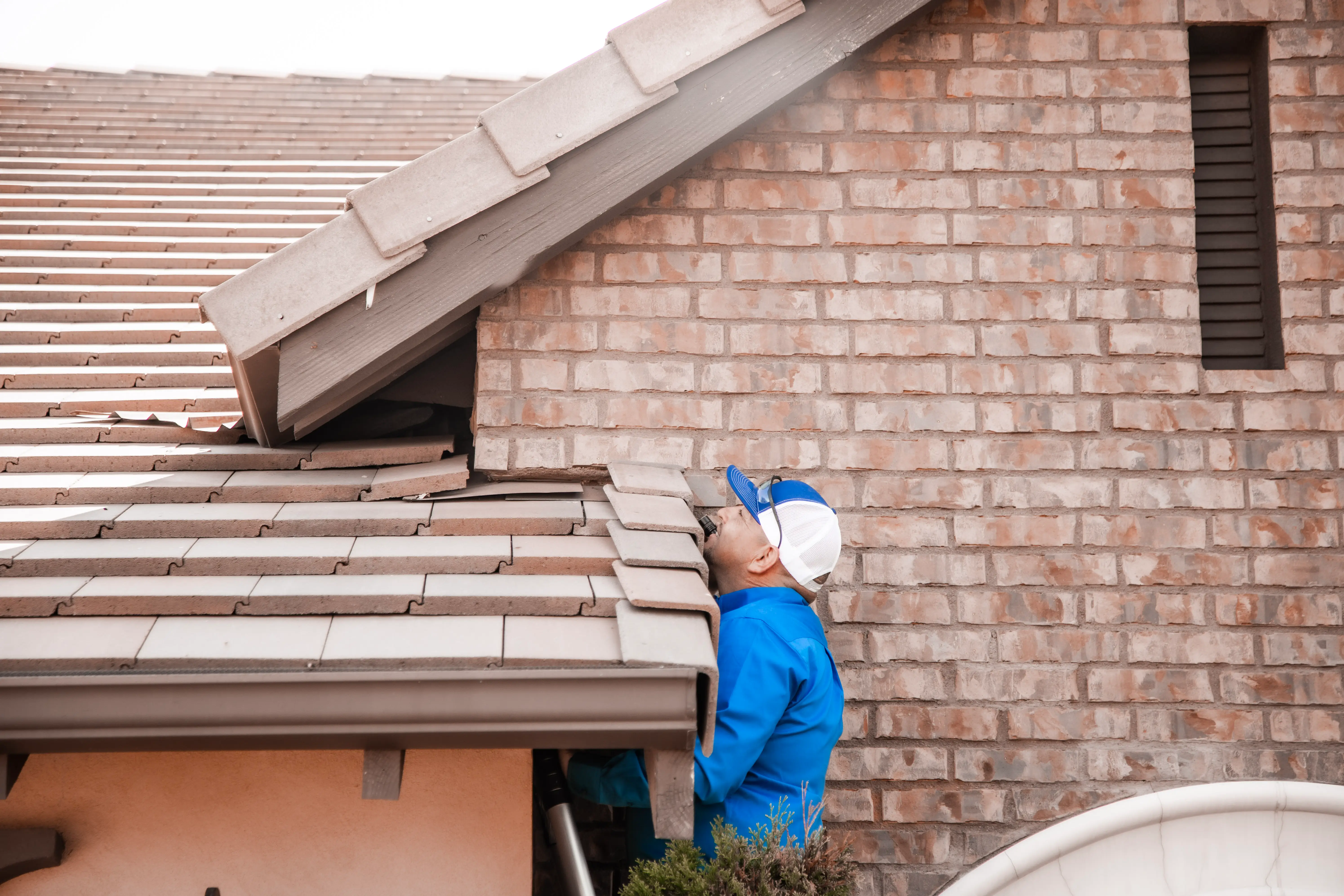 Technician safely removing empty swallow nest and sanitizing area