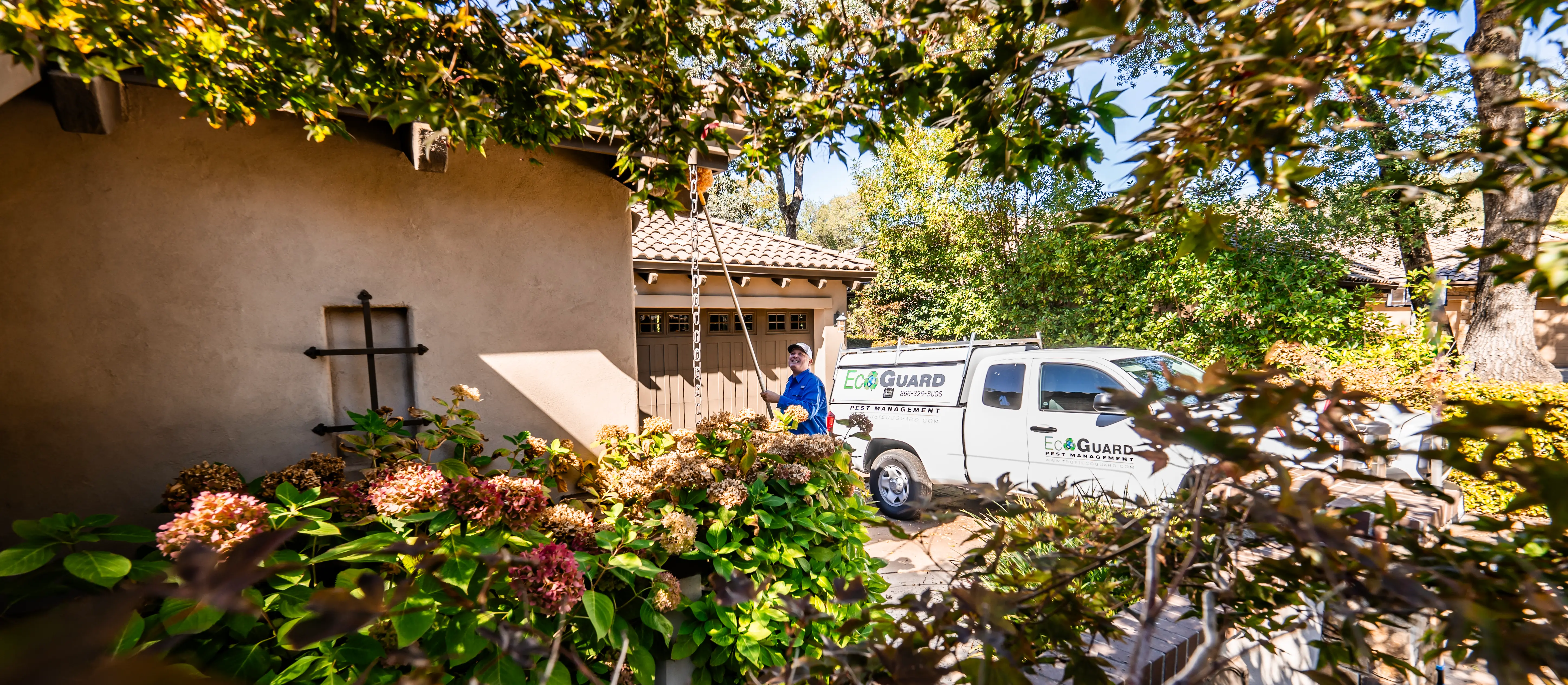 Property with wooded edge and tick-prone transition zones
