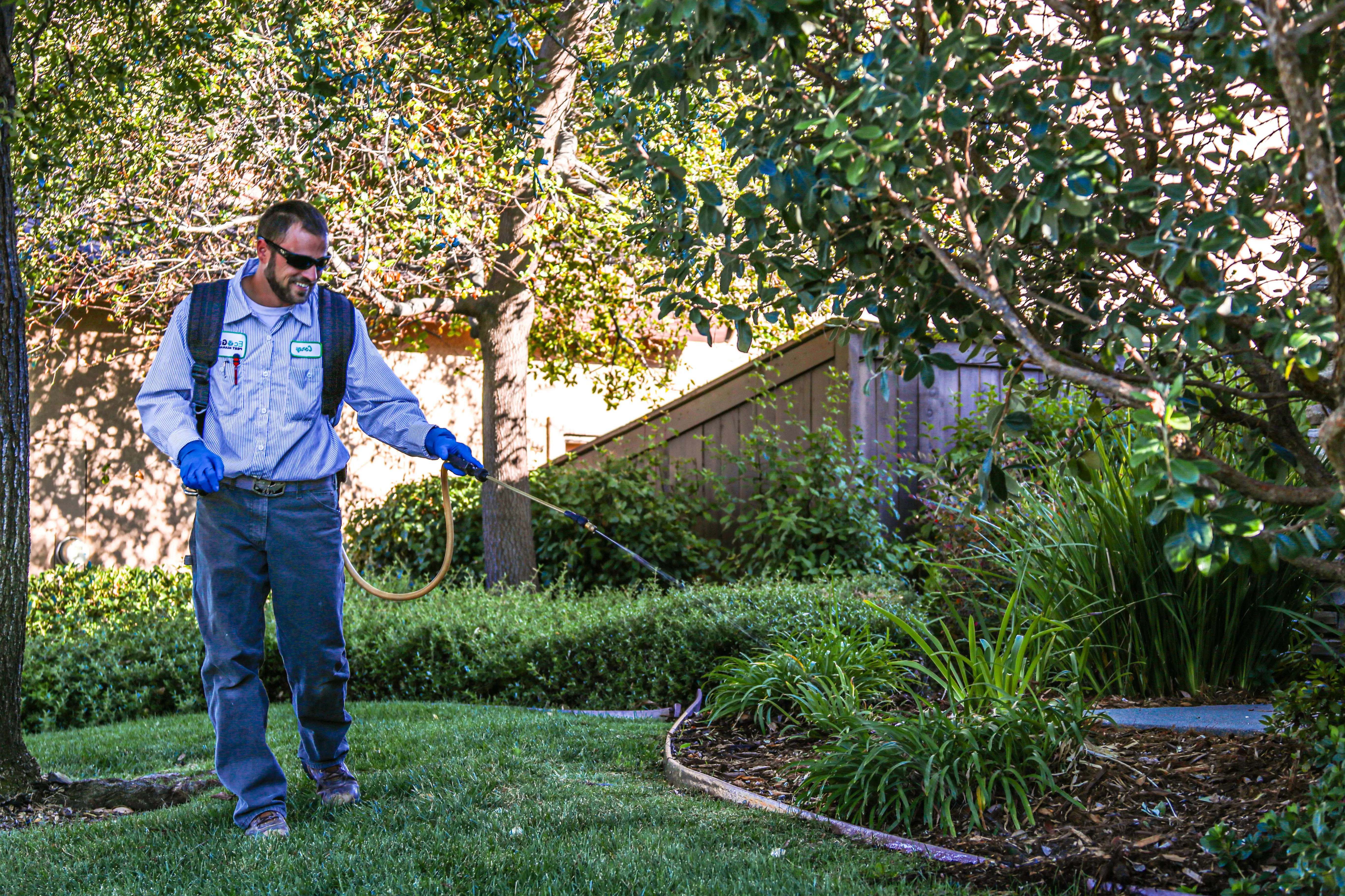 Treating vegetation and ground cover for tick control