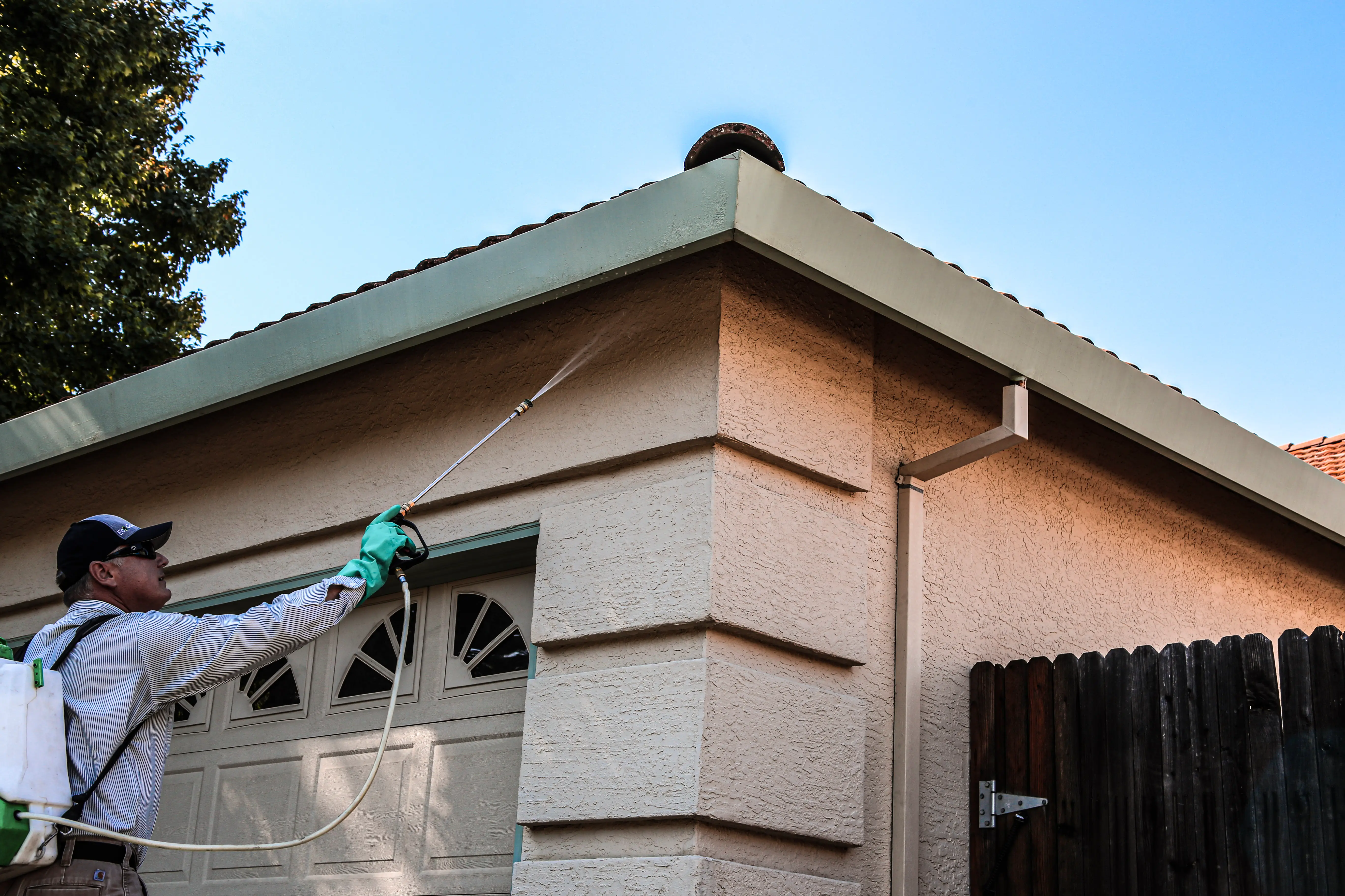 Applying insecticide treatment to yellow jacket nest entrance