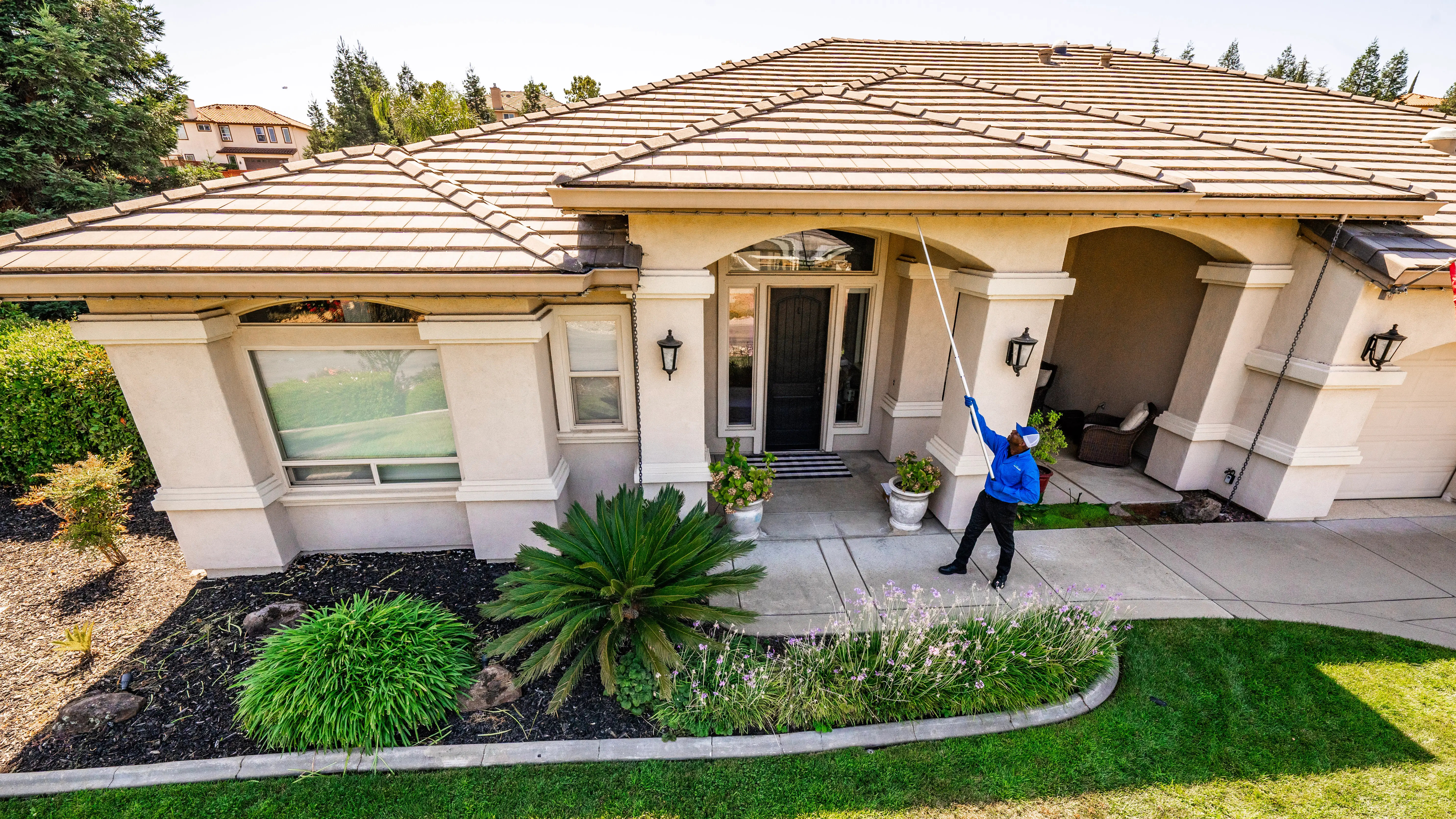 Removing eliminated yellow jacket nest from structure