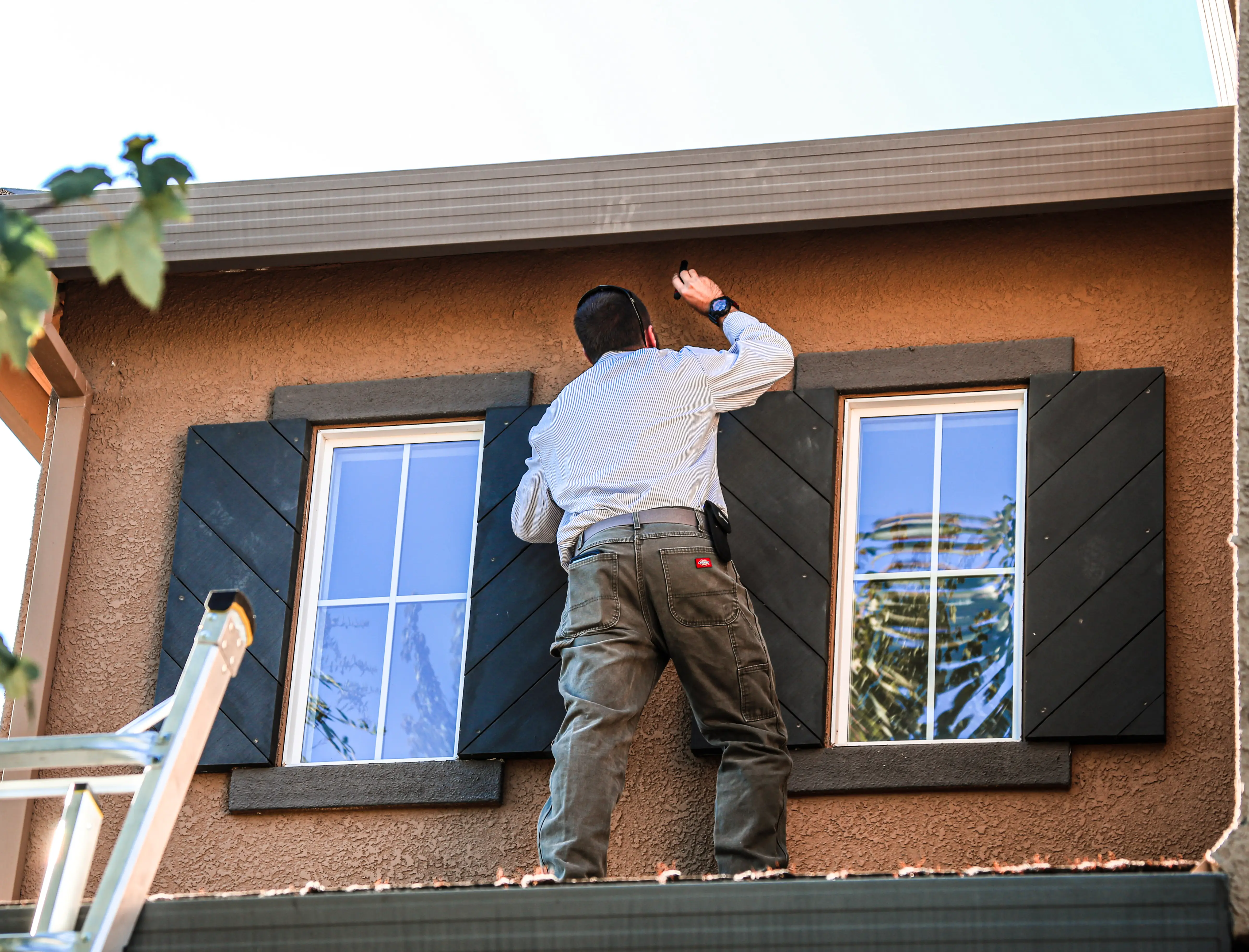 Rodent control and exclusion Damascus